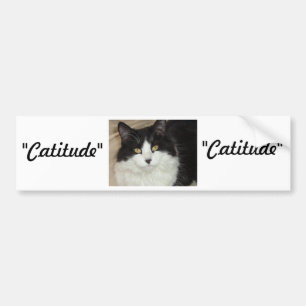 Pegatina Para Coche Gato de actitud con actitud