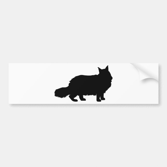Pegatina Para Coche Gato de Coon de Maine (Frente)