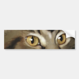 Pegatina Para Coche Gato de Coon negro de Maine del Tabby