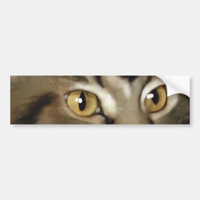 Pegatina Para Coche Gato de Coon negro de Maine del Tabby (Frente)