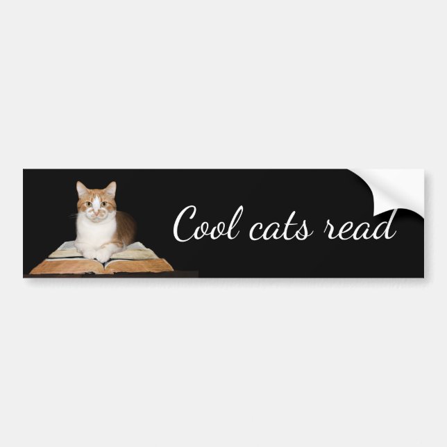 Pegatina Para Coche Gato de gatito literario educado (Frente)