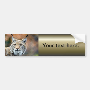 Pegatina Para Coche Gato del depredador de la fauna del lince del
