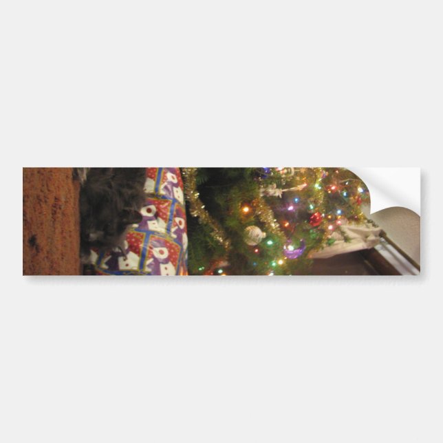 Pegatina Para Coche Gato del navidad (Frente)