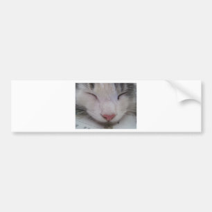 Pegatina Para Coche Gato durmiente