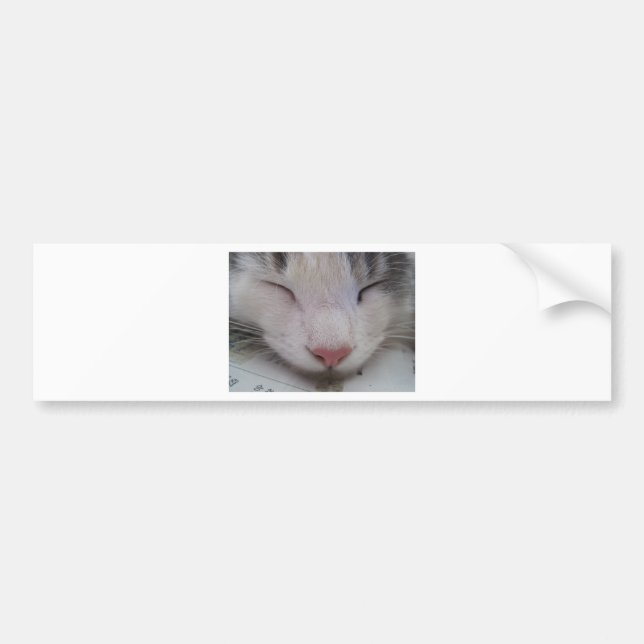 Pegatina Para Coche Gato durmiente (Frente)