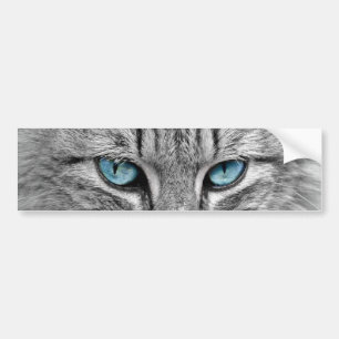 Pegatina Para Coche Gato Gris Pelo Largo Ojos Azules Verdes Mascota An