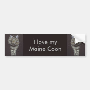 Pegatina Para Coche Gato Maine Coon