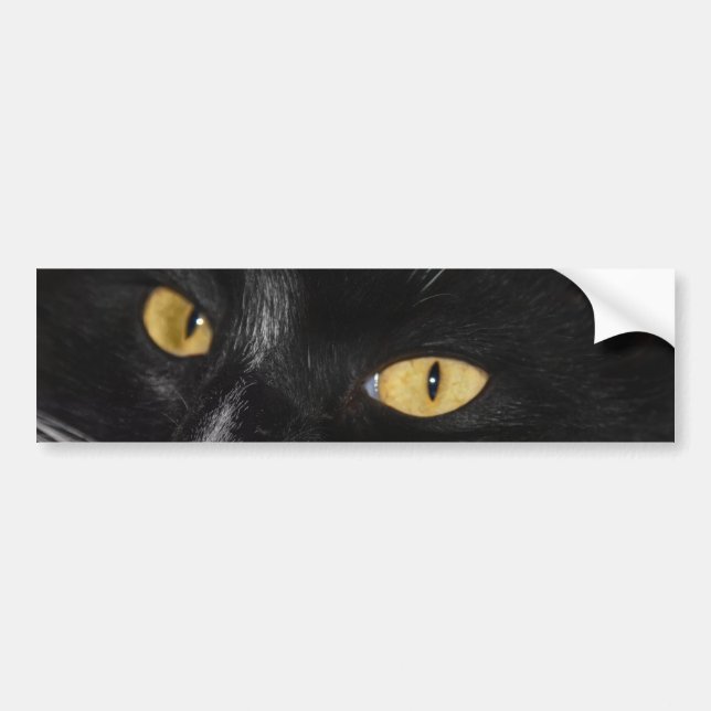 Pegatina Para Coche Gato negro (Frente)