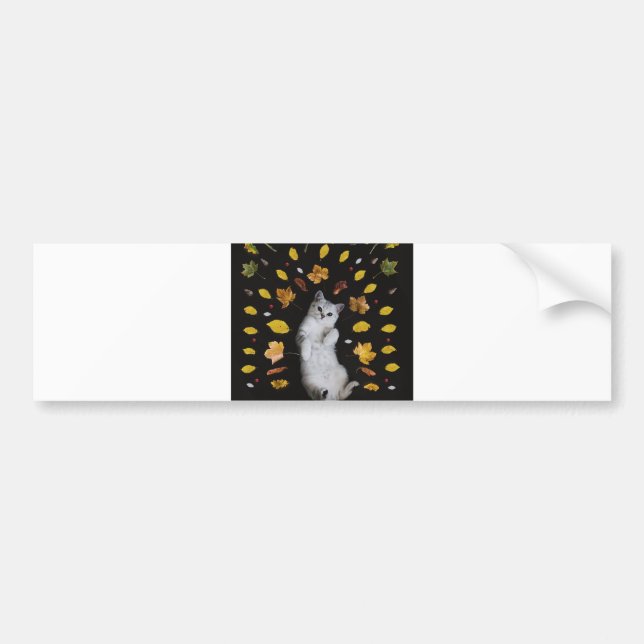 Pegatina Para Coche gato otoñal (Frente)