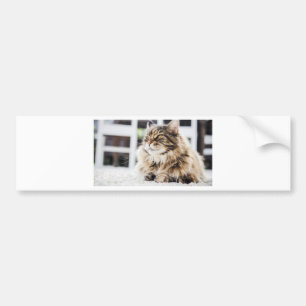 Pegatina Para Coche Gato profundo en el pensamiento
