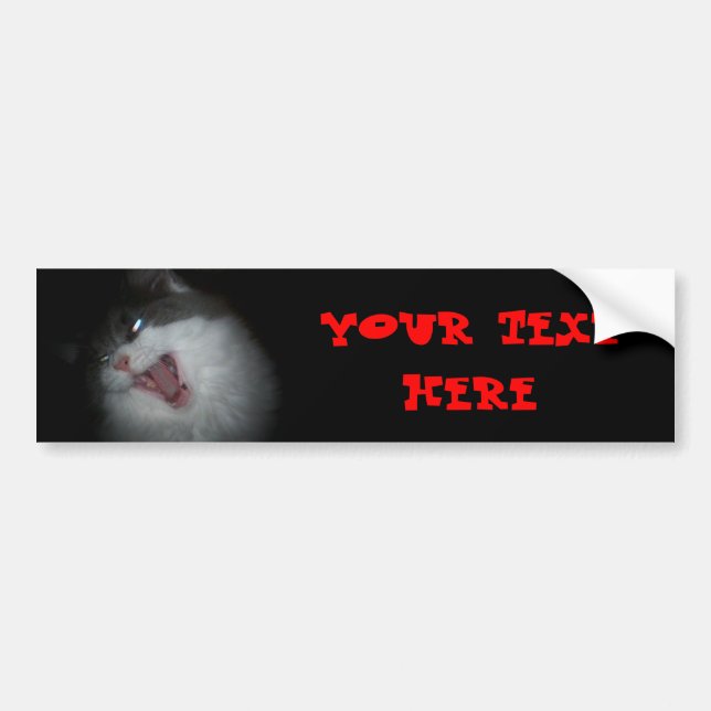 Pegatina Para Coche Gato que grita personalizable (Frente)