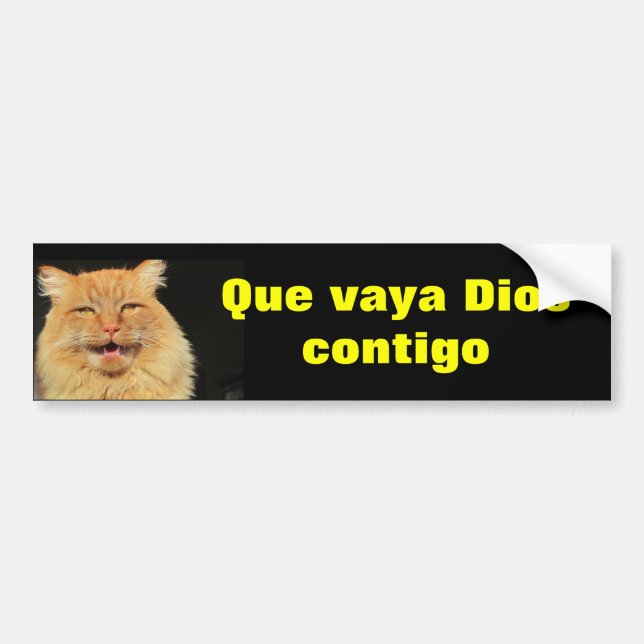 Pegatina Para Coche Gato - Que Vaya Dios Contigo (Frente)