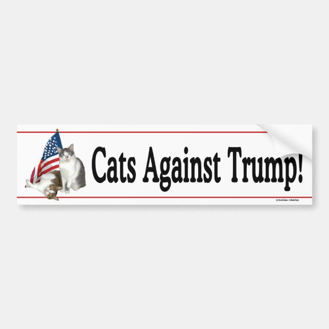 Pegatina Para Coche "Gatos contra el triunfo" Bumpersticker (Frente)