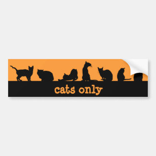 Pegatina Para Coche gatos solamente
