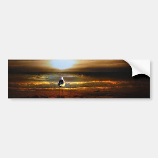 Pegatina Para Coche Gaviota de sol