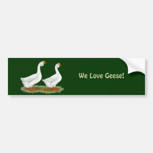 Pegatina Para Coche Geese africano blanco