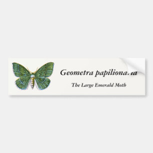 Pegatina Para Coche Geometra papilionaria - La gran esmeralda