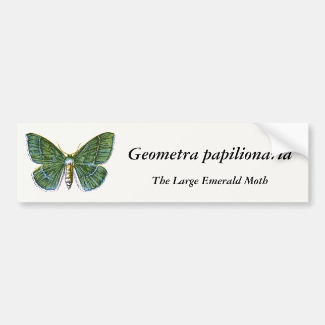 Pegatina Para Coche Geometra papilionaria - La gran esmeralda (Frente)