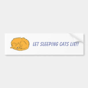 Pegatina Para Coche Ginger Cat deja que mientan los gatos durmiendo