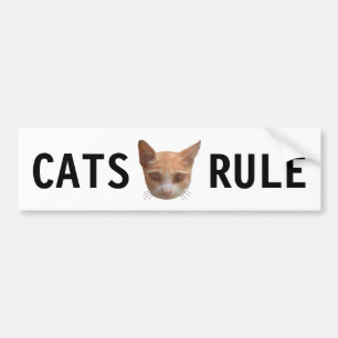 Pegatina Para Coche Ginger Tabby Kitty Cat