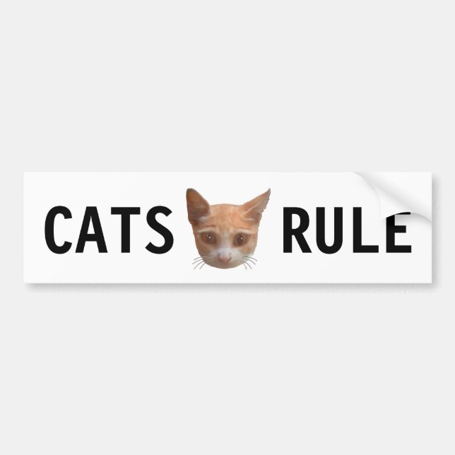 Pegatina Para Coche Ginger Tabby Kitty Cat (Frente)