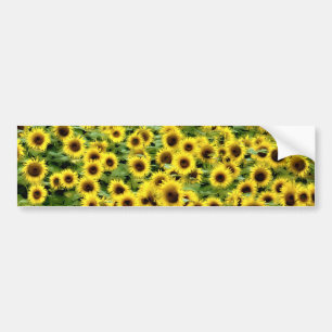 Pegatina Para Coche Girasol