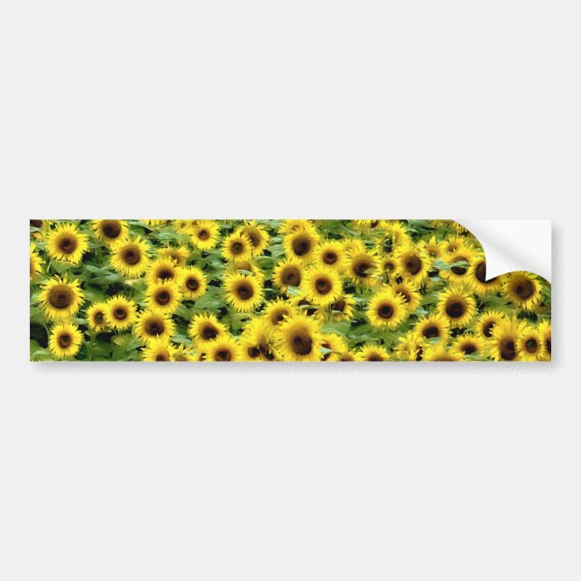 Pegatina Para Coche Girasol (Frente)