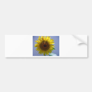 Pegatina Para Coche Girasol amarillo