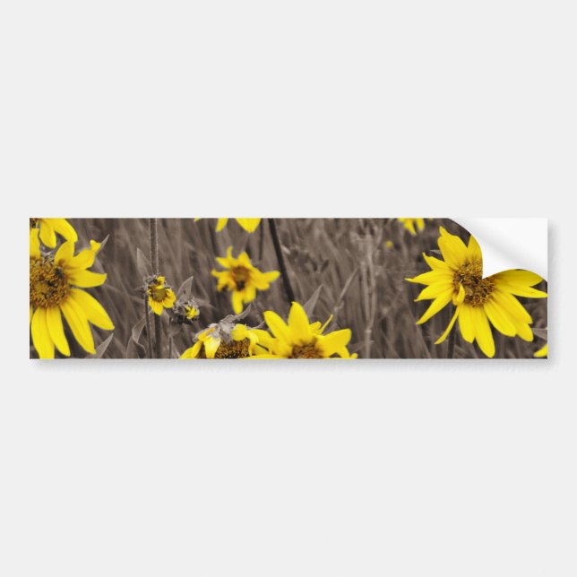Pegatina Para Coche Girasol en la Montaña Rocosa (Frente)
