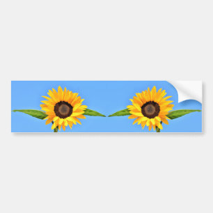 Pegatina Para Coche Girasoles amarillos contra el sol en el cielo azul