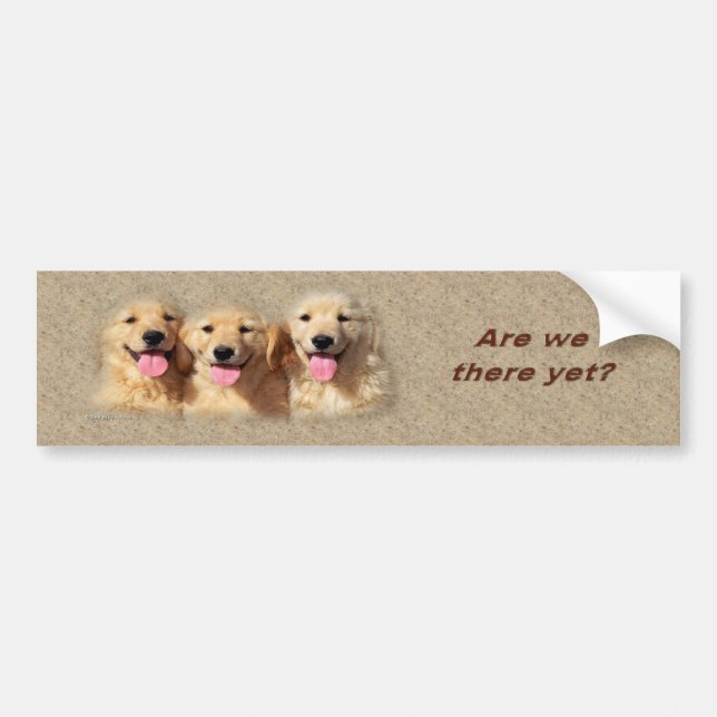 Pegatina Para Coche golden_pups3_bumpersticker (Frente)