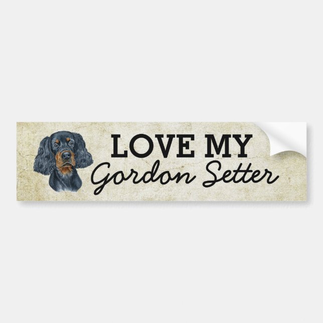 Pegatina Para Coche Gordon Setter Bumper Sticker (Frente)