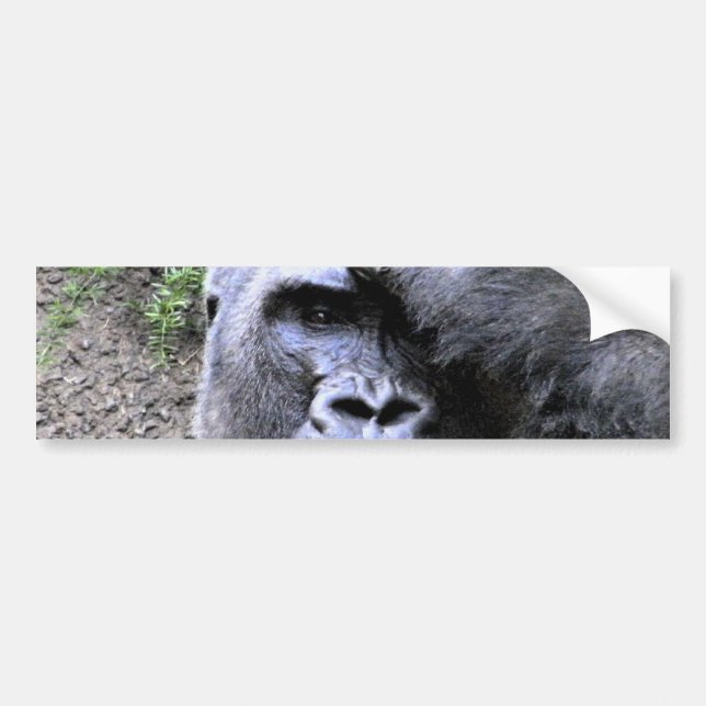 Pegatina Para Coche Gorilla_ (Frente)