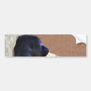 Pegatina Para Coche Gorillas_