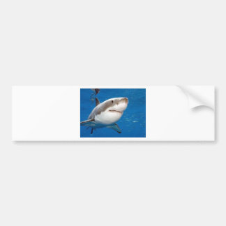 Pegatina Para Coche Gran tiburón blanco
