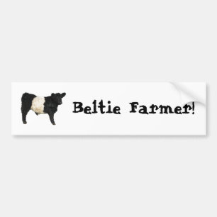 Pegatina Para Coche Granjero de Beltie Acero de vaca Galloway