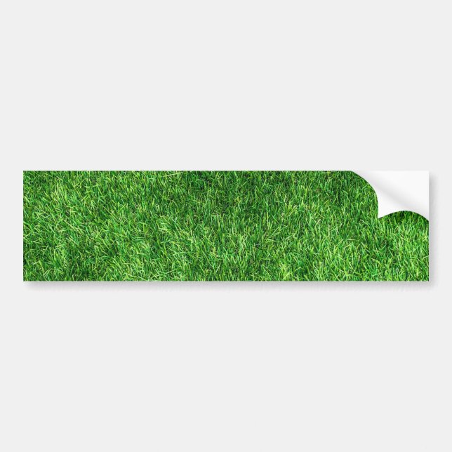 Pegatina Para Coche Grasa verde (Frente)