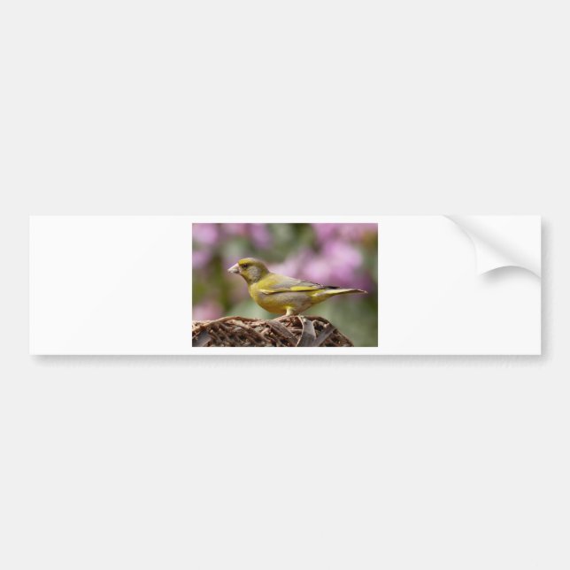 Pegatina Para Coche Green Finch (Frente)