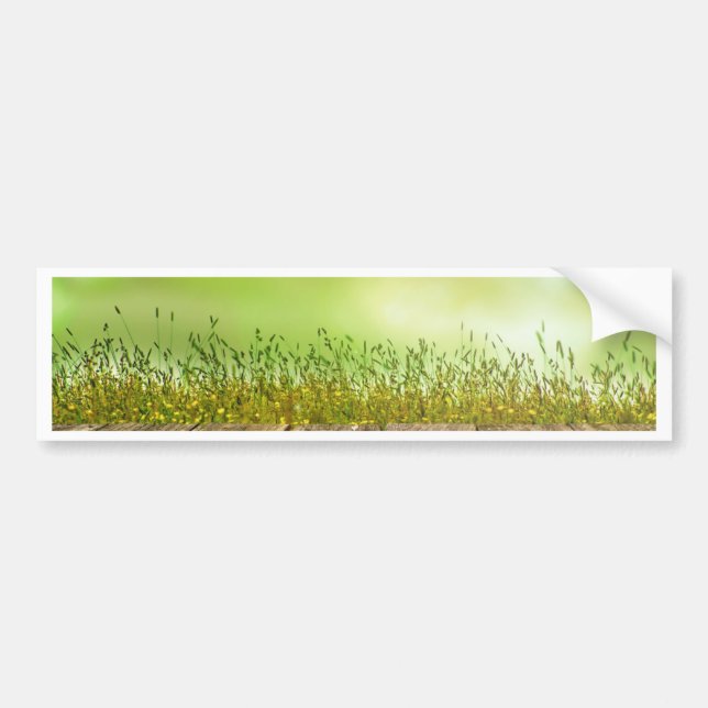 Pegatina Para Coche Green Grass Spring Garden (Frente)