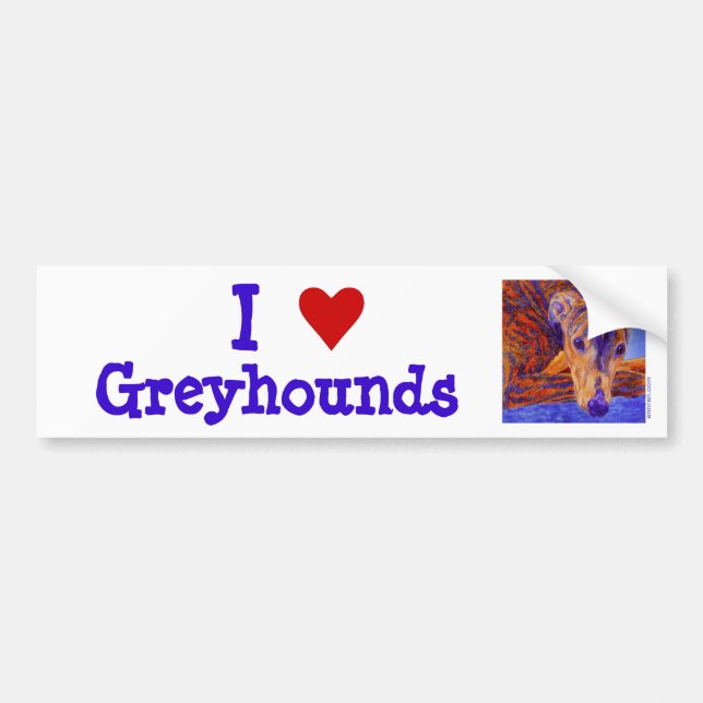 Pegatina Para Coche Greyhound Bumper Sticker (Frente)