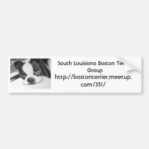 Pegatina Para Coche Grupo de Boston Terrier Meetup