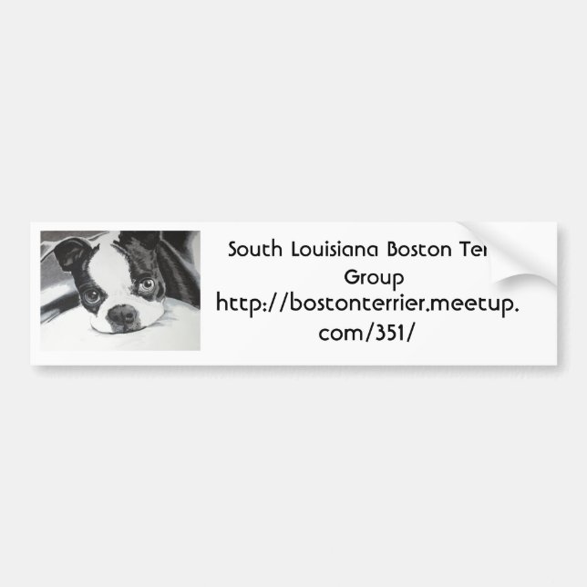 Pegatina Para Coche Grupo de Boston Terrier Meetup (Frente)