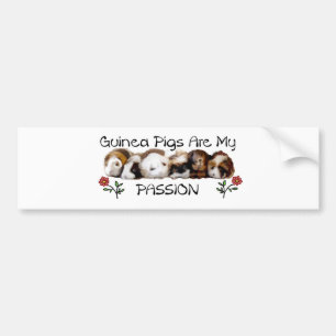 Pegatina Para Coche GUINEA PIGS PASSION.jpg