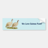 Guineas Buff Dundotte Fowl