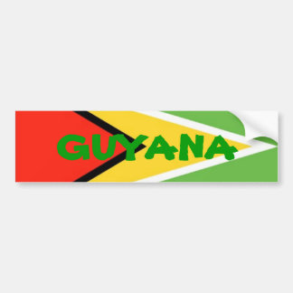 Pegatina Para Coche Guyana-Bandera, GUYANA