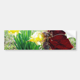 Pegatina Para Coche Hadas en los Daffodils