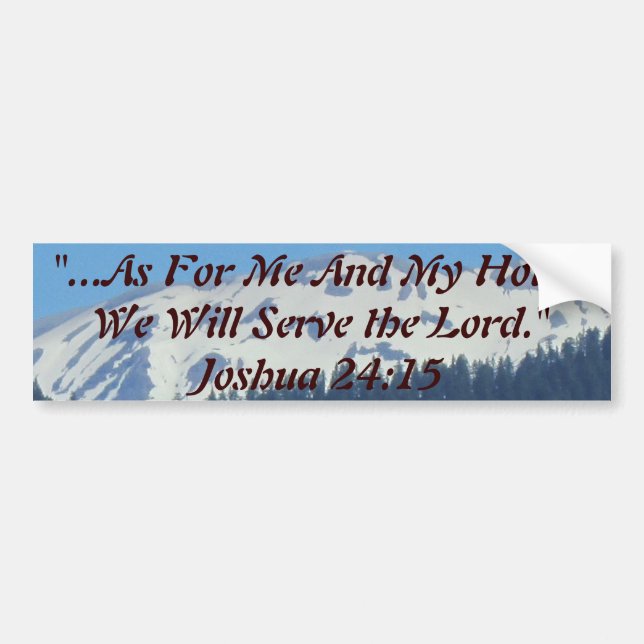 Pegatina Para Coche ¡Haga su coche una reflexión de usted! Consiga su (Frente)