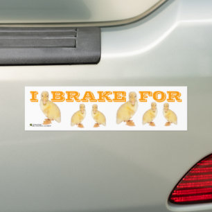 Pegatina Para Coche HAGO USO DE LA Foto Yellow Duckling Personalizada
