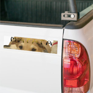 Pegatina Para Coche "Hakuna Matata Pup" - Amor a los cachorros sin pre
