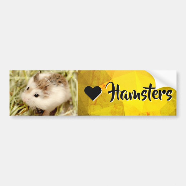 Pegatina Para Coche Hammyville - Amo Hamster (Frente)
